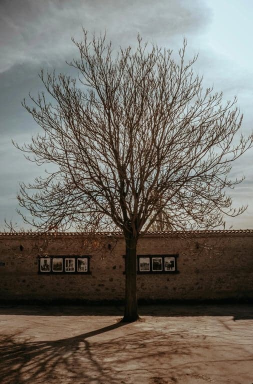 Generate street graffiti that feels situational and site-specific, as if created in direct response to a particular place and moment. Allow mood, urgency, and spatial constraints to influence letter shape, spacing, and composition, making the piece feel context-driven rather than generic.