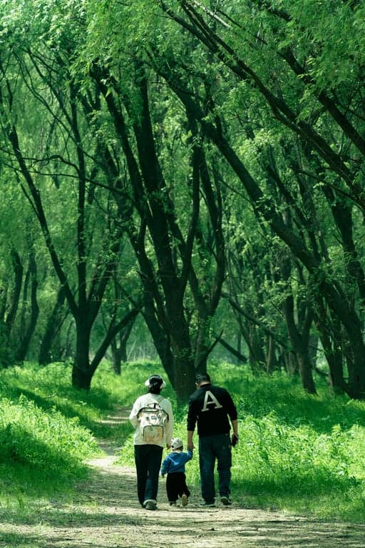 Generate a hopeful, forward-looking crest inspired by the bright morning light and soft pastel colors of the family breakfast photo. Use a rising sun and an open gate as central symbols on a fresh, light-colored shield.