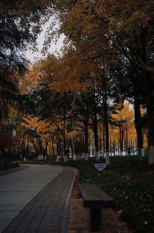 A seemingly normal landscape photo of a park bench, but with a giant, photorealistic eye subtly reflected in a puddle, text reads \"do not perceive me\".