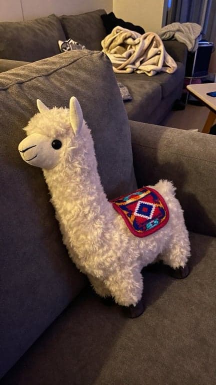 Convert the given object into ...