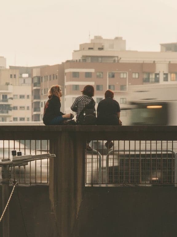 A close-up still life (e.g., a houseplant, a record player) with the warm, muted, and slightly desaturated color palette iconic of 70s consumer product photography.